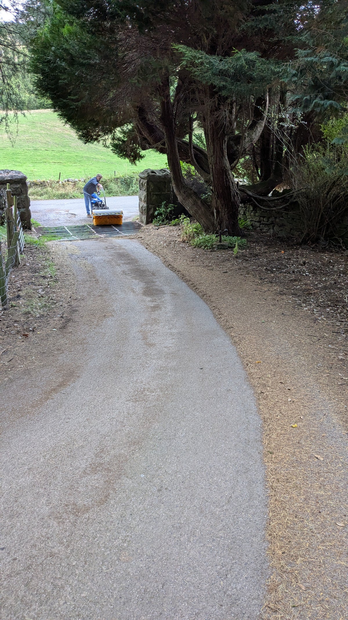 Blitz 70 with Rotary Sweeping Brush